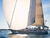 Vele da crociera : Spinnaker, Gennaker