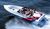 Barca offshore : runabout