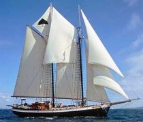 barca a vela tradizionale (goletta, sailing-yacht) TREE OF LIFE Covey Island Boatworks