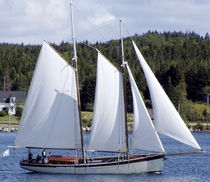 barca a vela tradizionale (goletta, sailing-yacht) Bristol Schooner, PAPA Covey Island Boatworks