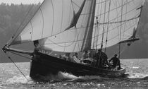 barca a vela tradizionale (su misura, sailing-yacht) Nigel Irens, Westernman, ELEANOR MARY Covey Island Boatworks