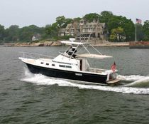 barca a motore : cabinato con fly (lobster) 35 COMMAND BRIDGE Albin Marine