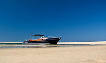 barca a motore : walkaround fuoribordo (bimotore, prendisole) V11 BEACHER CONCEPT 