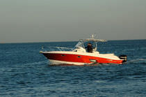 barca a motore : walkaround fuoribordo (bimotore, prendisole, T-Top) 320 PIONEER Al Dhaen Craft