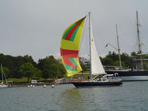 barca a vela da crociera (deck saloon, 3 cabine, sailing-yacht) 515 Nauticat