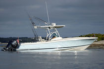 barca da pesca sportiva : barca open fuoribordo (bimotore, T-Top) CATALINA 29 Chris Craft
