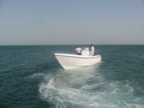 barca da pesca sportiva : barca open fuoribordo (bimotore, T-Top) 31 FEET Al Dhaen Craft