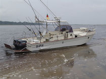 barca da pesca sportiva : barca open fuoribordo (bimotore, T-Top) V10 PECHE BEACHER CONCEPT 