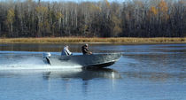 barca da pesca sportiva : barca open (in alluminio) 18 Lake Assault Custom Boats