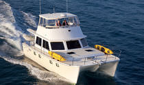 catamarano a motore : cabinato con fly (2 cabine) P-47 Maine Cat