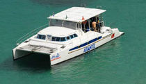 catamarano a motore : cabinato (su misura) TURIMCAT 430 Dolphin