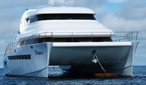 catamarano a motore : motor-yacht di lusso TRAWLER 700 Dolphin