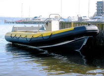 gommone semi-rigido (professionale, entrobordo, con consolle centrale) EXTREME 17 X 9 Northwind