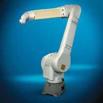 robot antropomorfo per polverizzazione di pitture (per cantieri navali) P-250IA FANUC Robotics America, Inc.