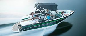 runabout entrobordo / bow-rider / da wakeboard / max. 12 persone