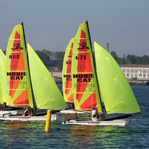 catamarano sportivo da regata / per scuola / multiplo / spinnaker asimmetrico