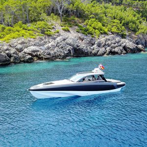 cabinato entrofuoribordo / diesel / trimotore / hard-top