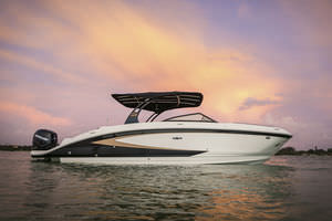 deck boat fuoribordo / max. 15 persone / con prendisole / con T-top