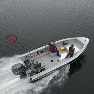 bay boat fuoribordo