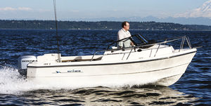 day cruiser fuoribordo / da pesca sportiva