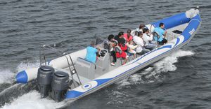 gommone fuoribordo / bimotore / semirigido / con console centrale