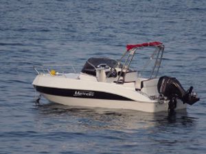 runabout entrobordo / con dual console / max. 6 persone / con cabina