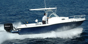 walkaround fuoribordo / da pesca sportiva / con T-top
