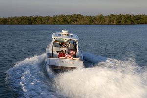 cabinato entrobordo / hard-top / tradizionale / con cabina
