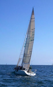 randa / vela di prua / per barca a vela da regata