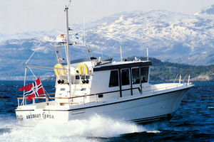 walkaround entrobordo / con cabina di pilotaggio / con fly / da pesca sportiva