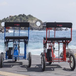 scooter pieghevole / elettrico