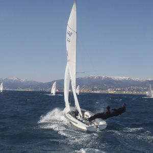spinnaker / per deriva / 470 / triradiale