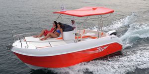 cabin-cruiser fuoribordo / open / sportivo / con T-top