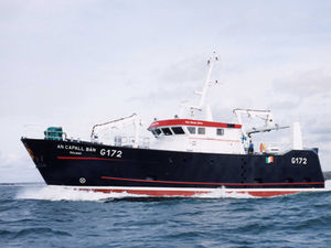barca da pesca professionale / entrobordo