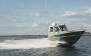 barca da pesca professionale costiera entrobordo / in alluminio