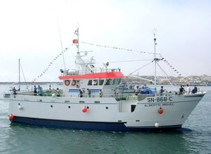 barca da pesca professionale