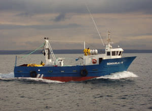 barca da pesca professionale