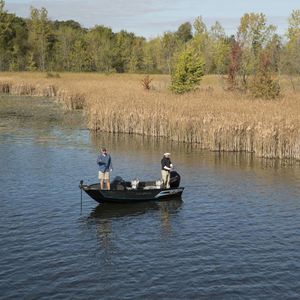 bay boat fuoribordo / con dual console