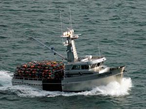 barca da pesca professionale entrobordo