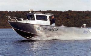 day cruiser fuoribordo / hard-top / con cockpit chiuso / da pesca sportiva