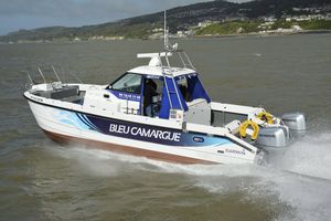 cabinato catamarano / bimotore / fuoribordo / con cockpit chiuso