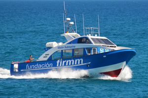 barca a visione subacquea entrobordo