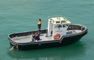 barca da lavoro polivalente entrobordo