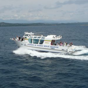 battello turistico / diesel / entrobordo