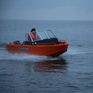 runabout fuoribordo / bow-rider / con dual console / da pesca sportiva