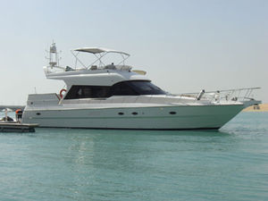 motor-yacht di lusso da crociera / con fly / con scafo dislocante