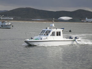 cabin-cruiser catamarano / fuoribordo / hard-top / max. 8 persone