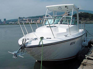 cabinato entrobordo / open / max. 6 persone / con T-top