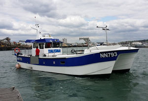 barca da pesca professionale catamarano / entrobordo