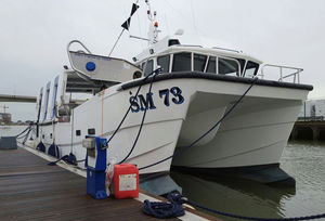 barca da pesca professionale catamarano / entrobordo